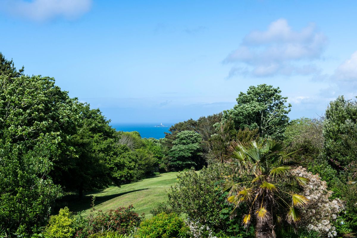 Gallery Item 4 for Tregenna Castle Hotel