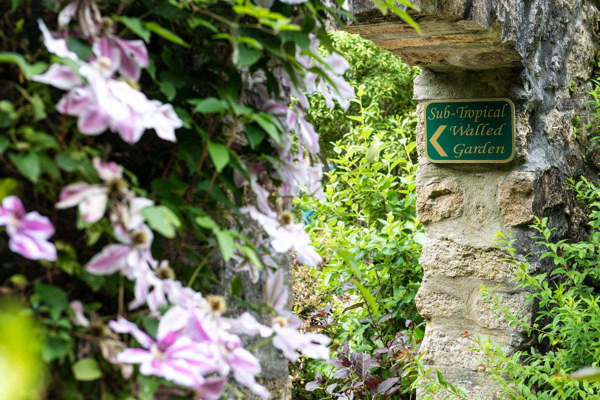 Gallery Item 12 for Tregenna Castle Hotel