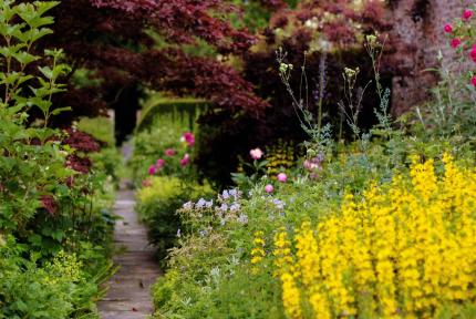 Gallery Item 4 for Saltmarshe Hall