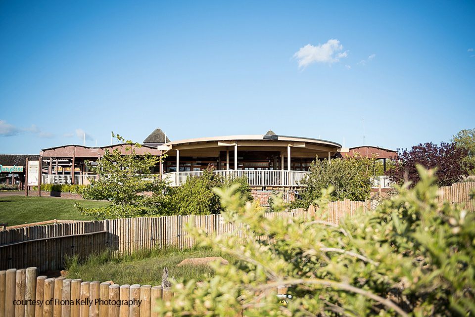 Gallery Item 2 for The Safari Lodge at Woburn Safari Park