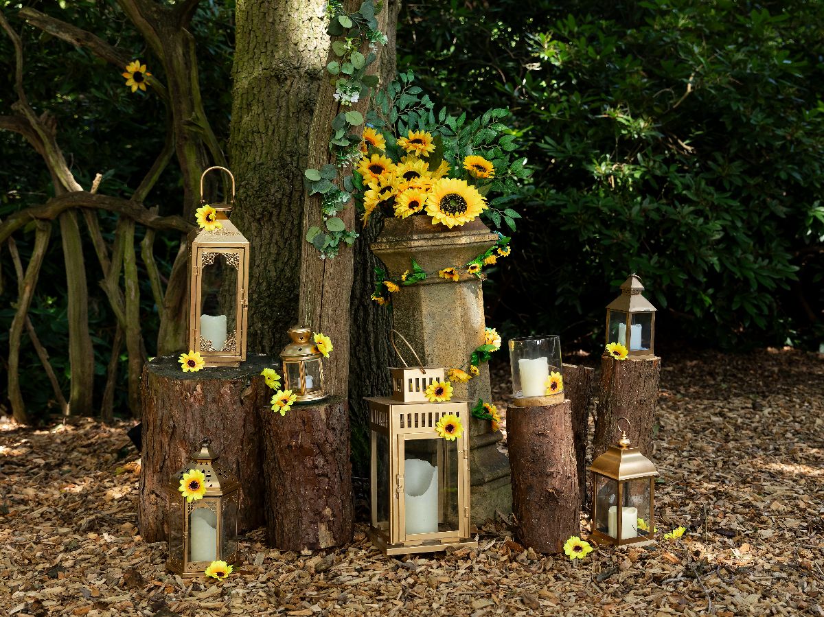 Gallery Item 5 for Escrick Park Estate