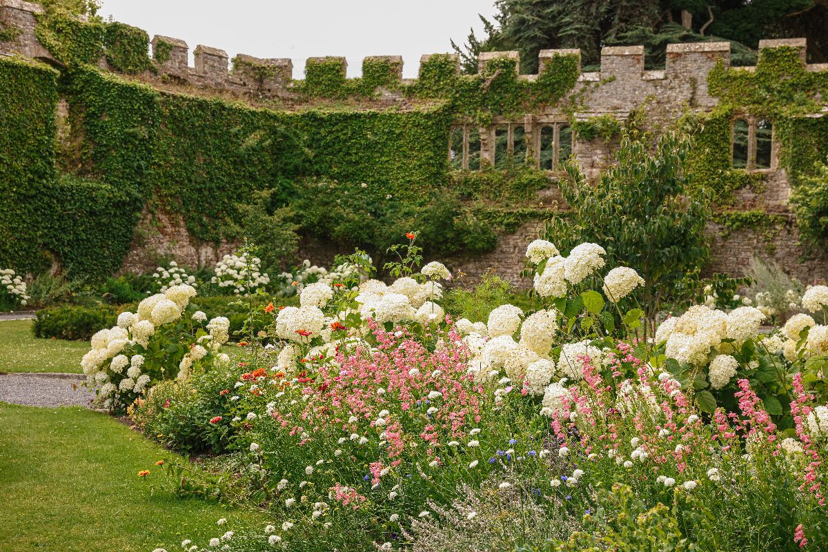Gallery Item 4 for Thornbury Castle