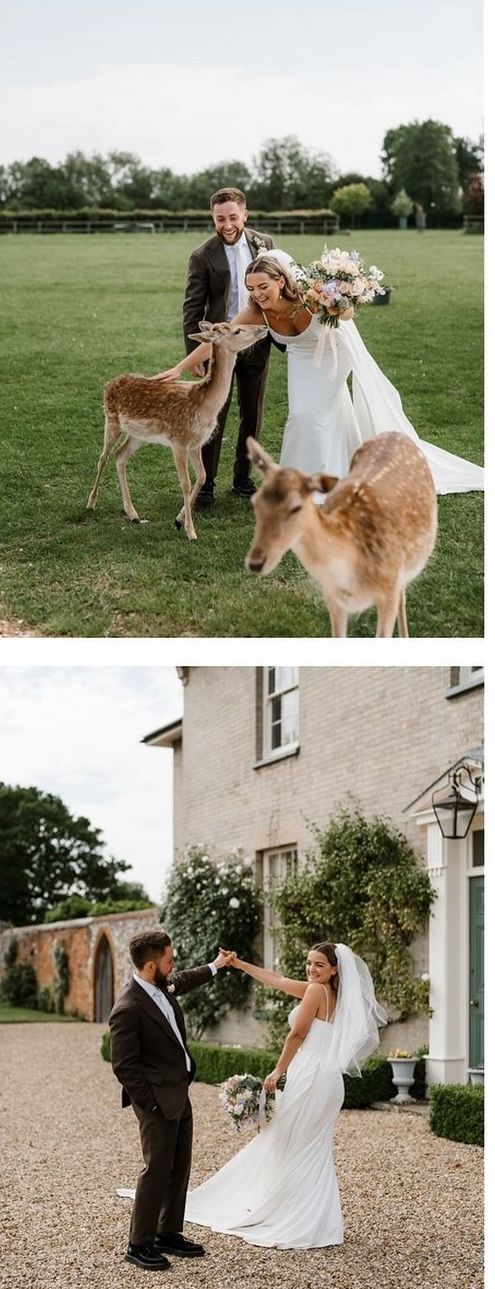 Gallery Item 5 for Hill Farm Massingham