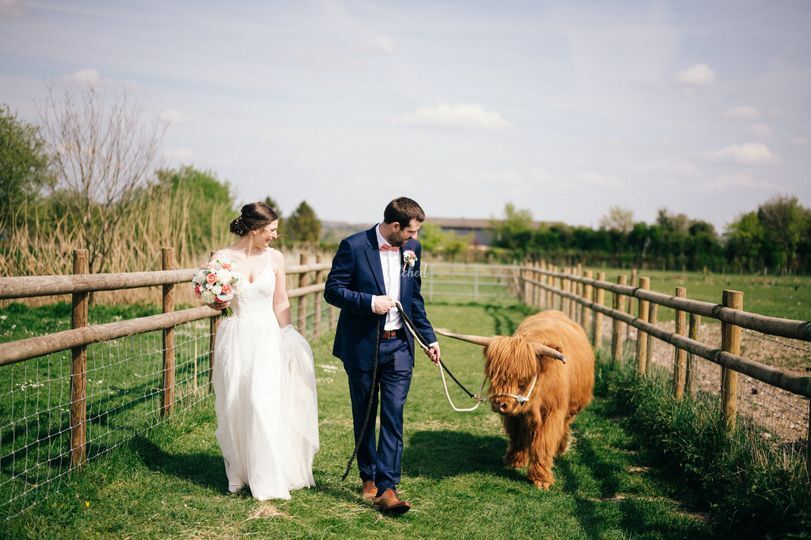 Gallery Item 6 for Cholderton Rare Breeds Farm - Vine View Barn