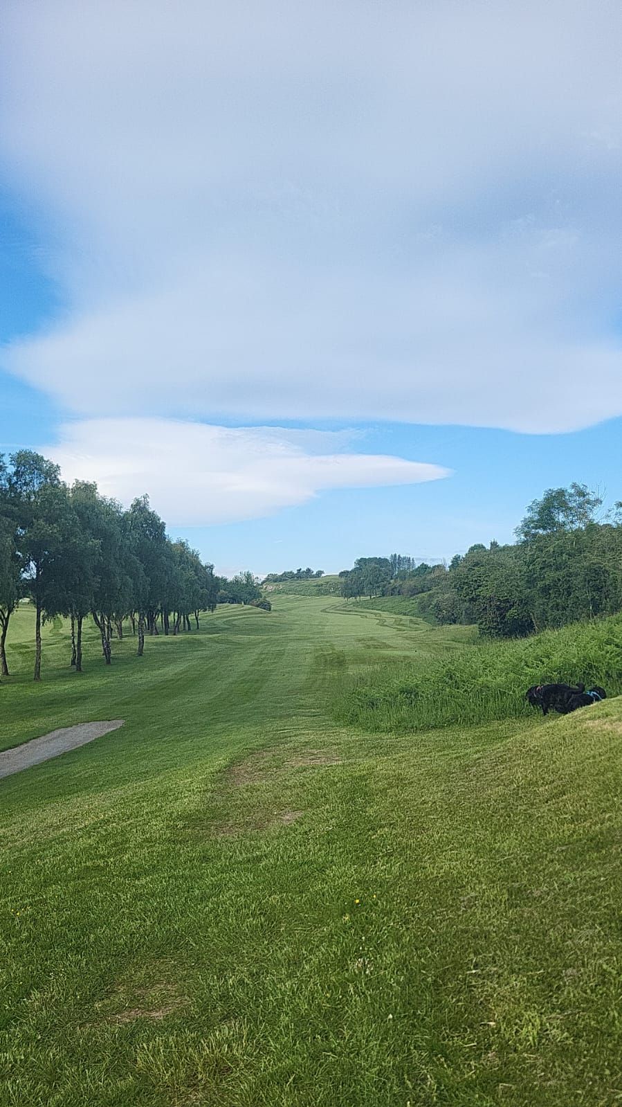 Gallery Item 4 for LLANYMYNECH GOLF CLUB