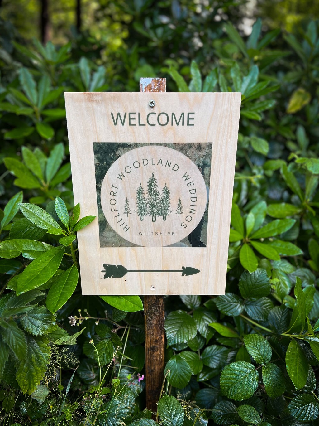 Gallery Item 2 for Hillfort Woodland Weddings