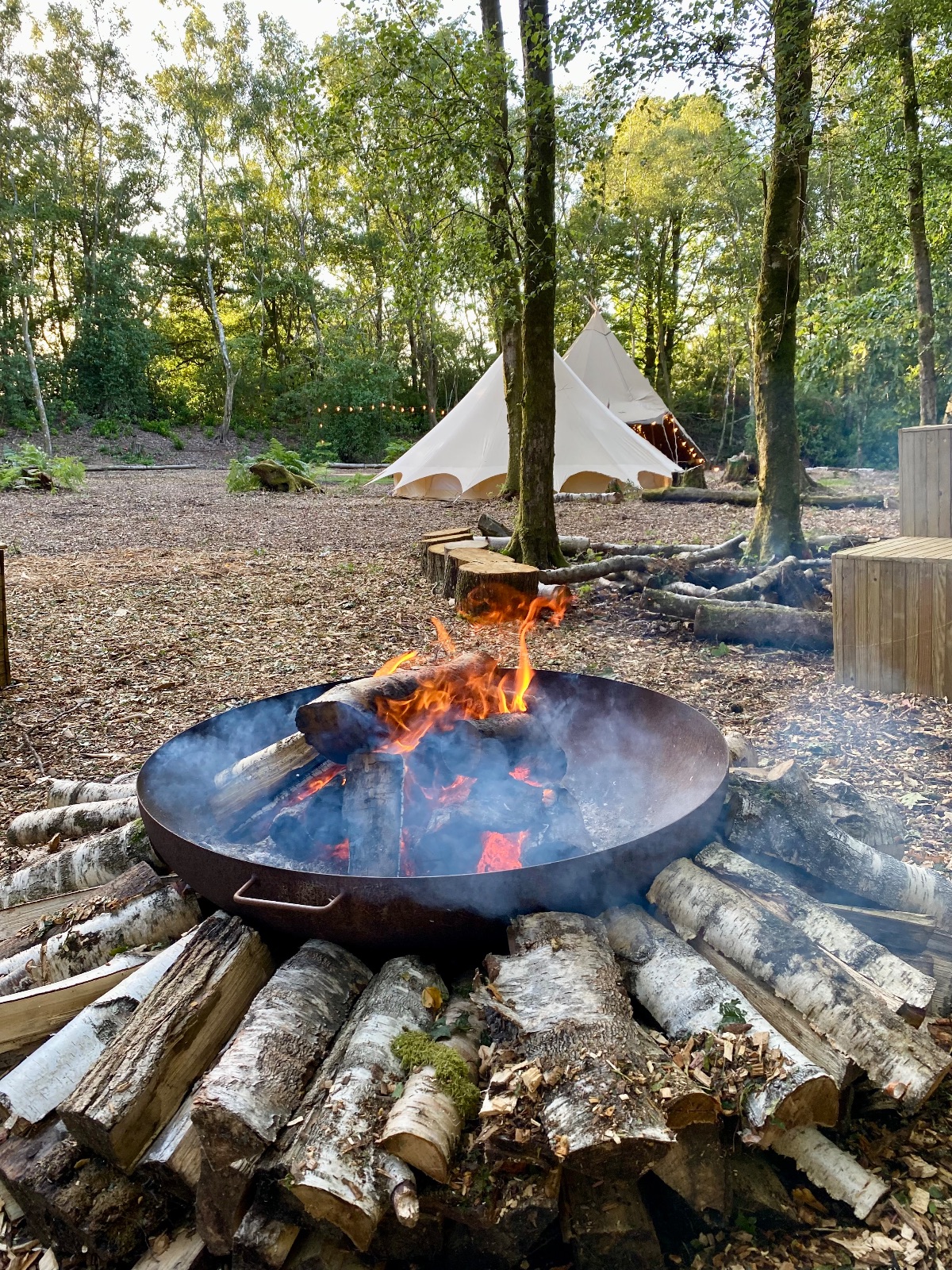 Gallery Item 3 for Hillfort Woodland Weddings