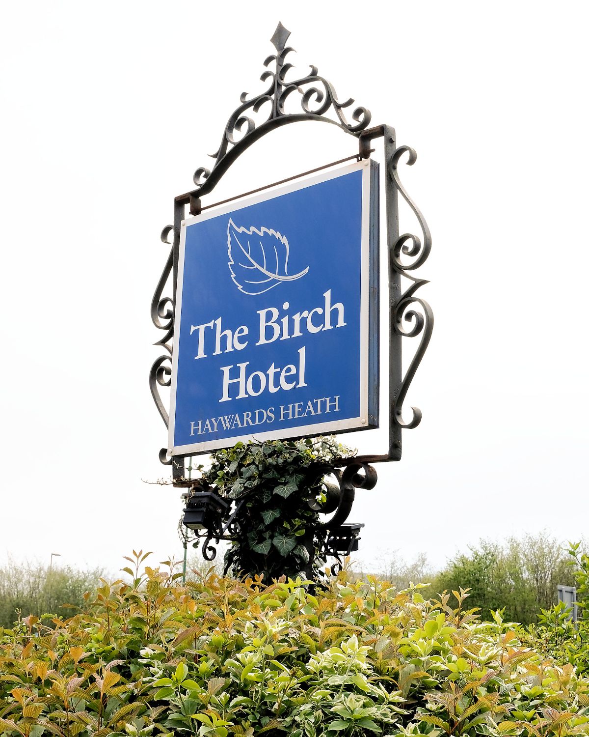 Gallery Item 3 for THE BIRCH HOTEL